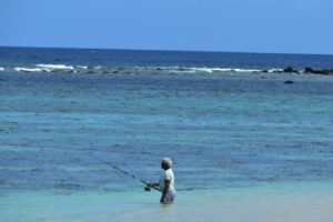 Cómo pescar en áreas con alta densidad de corales.