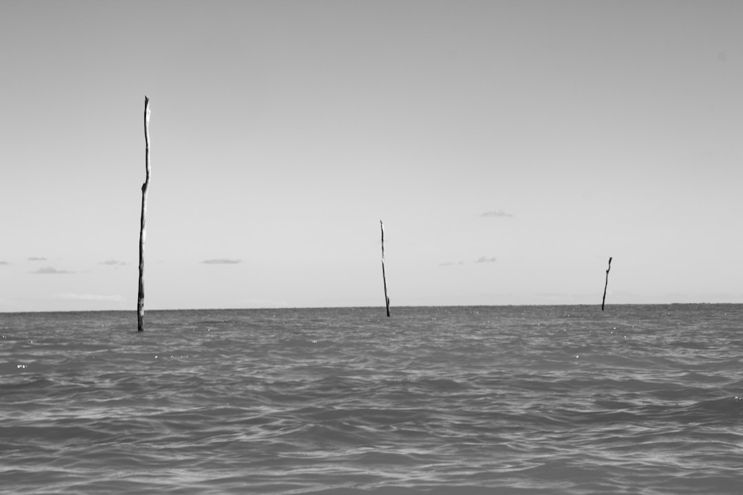 Photo fishing zones near edge currents