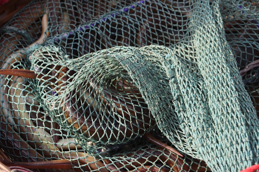 Photo fishing for big fish offshore: ideal rods and reels