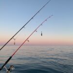 Pesca con carnada viva en mares con corrientes moderadas.