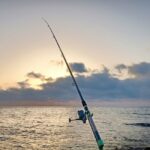 Pesca de peces espada en aguas tropicales.