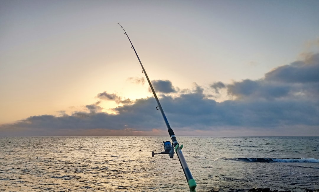 Photo swordfish fishing