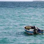 Cómo aprovechar las corrientes ascendentes para pescar en el mar.