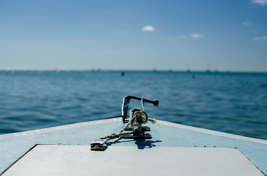 Photo Pelagic fishing
