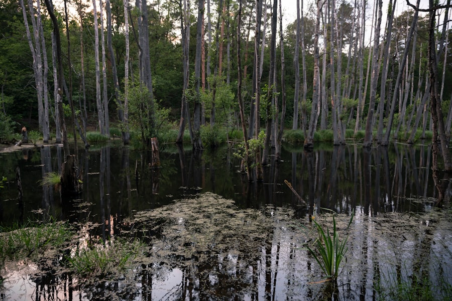 Fishing in swamps with seasonal water level fluctuations