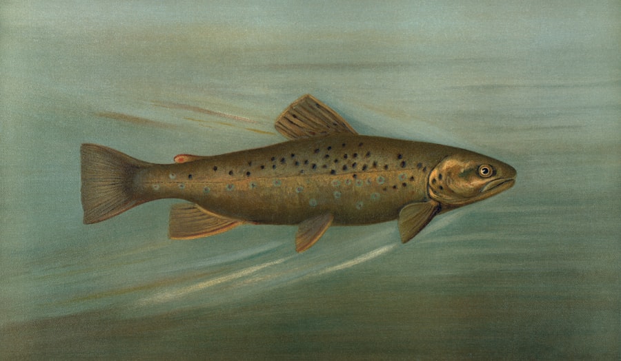 Freshwater species fishing