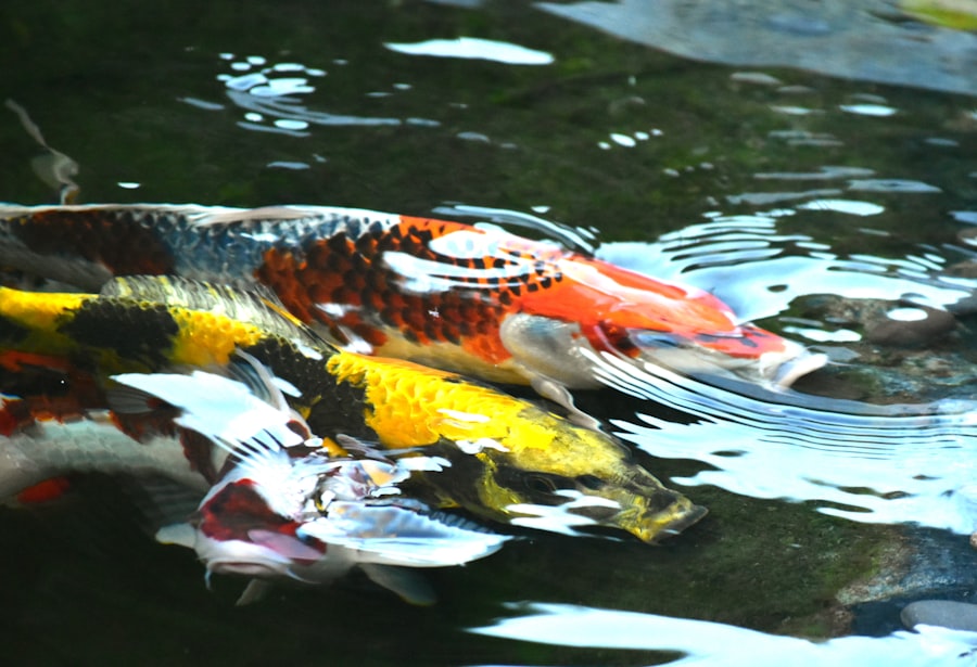 Photo Carnivorous fish fishing
