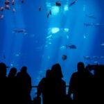 Cómo usar luces subacuáticas para pescar en pantanos.