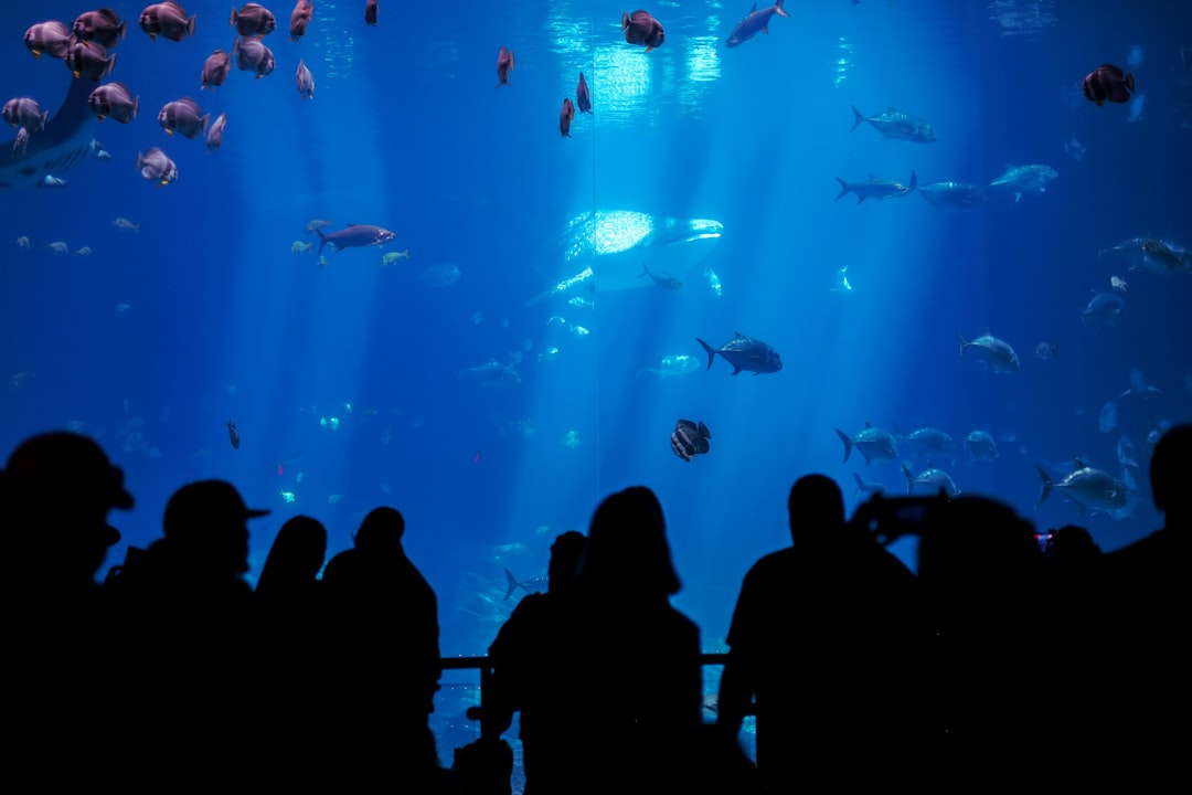 Photo underwater fishing lights