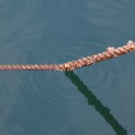 Pesca con señuelos flotantes en pantanos con corrientes leves.