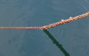 Pesca con señuelos flotantes en pantanos con corrientes leves.