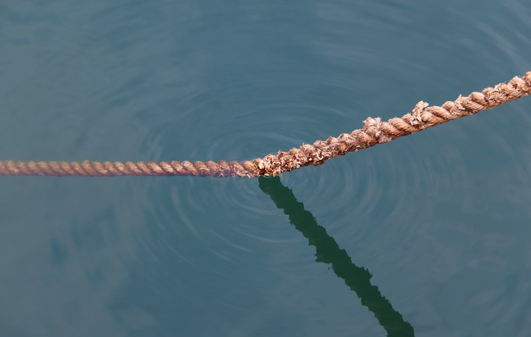 Photo fishing with floating lures