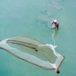 Técnicas de pesca en pantanos con cañaverales.