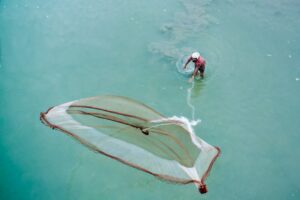 Técnicas de pesca en pantanos con cañaverales.