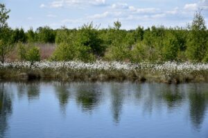Pesca en pantanos con fluctuaciones estacionales de nivel de agua.