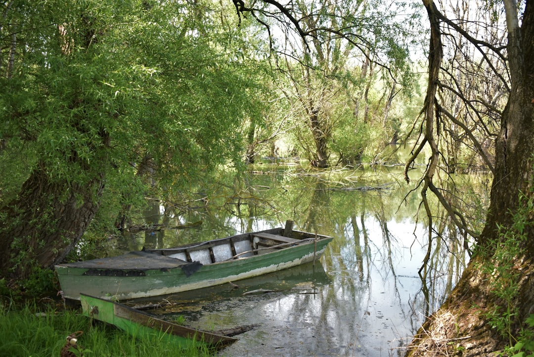 Photo Fishing in swamps with seasonal water level fluctuations