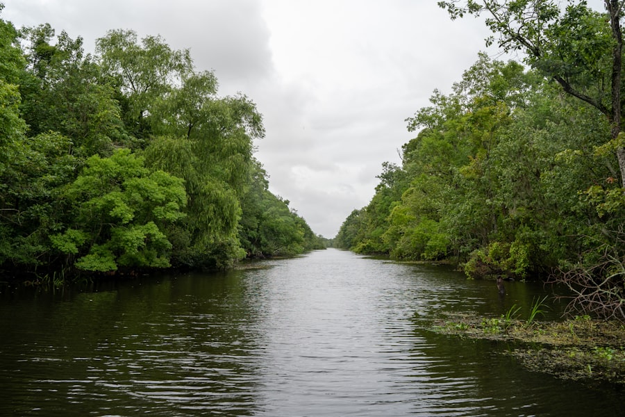 Photo Fishing in swamps with seasonal water level fluctuations