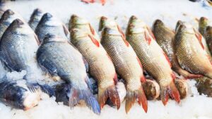 Cómo identificar zonas de alimentación de peces en pantanos.