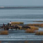 Cómo minimizar el impacto ambiental al pescar en pantanos.