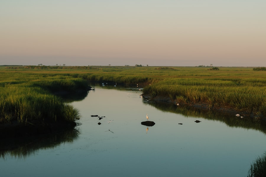 Photo minimize environmental impact fishing wetlands