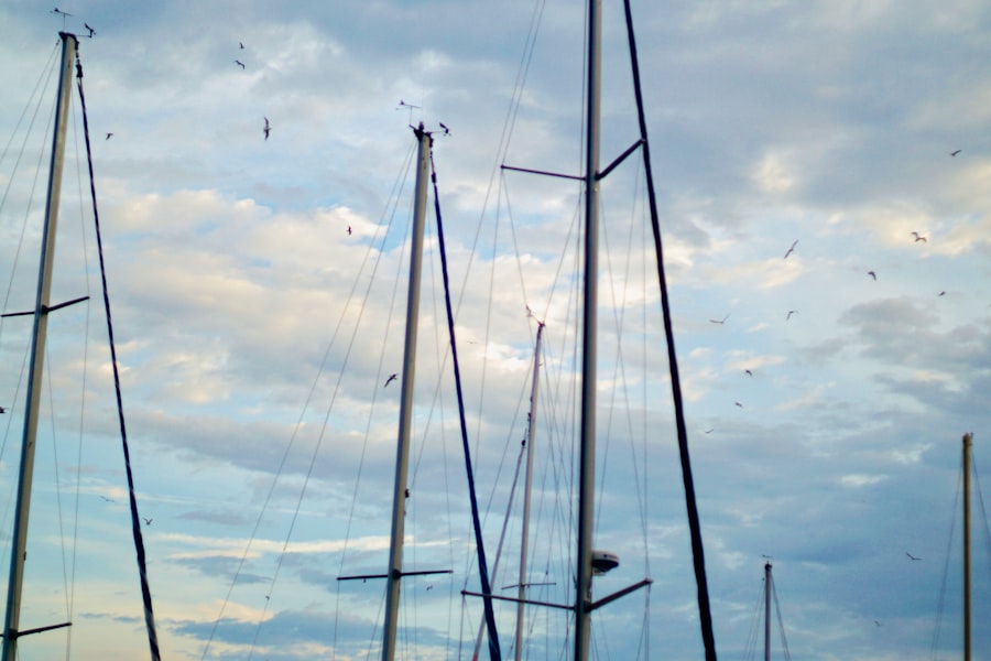 fishing line tangles