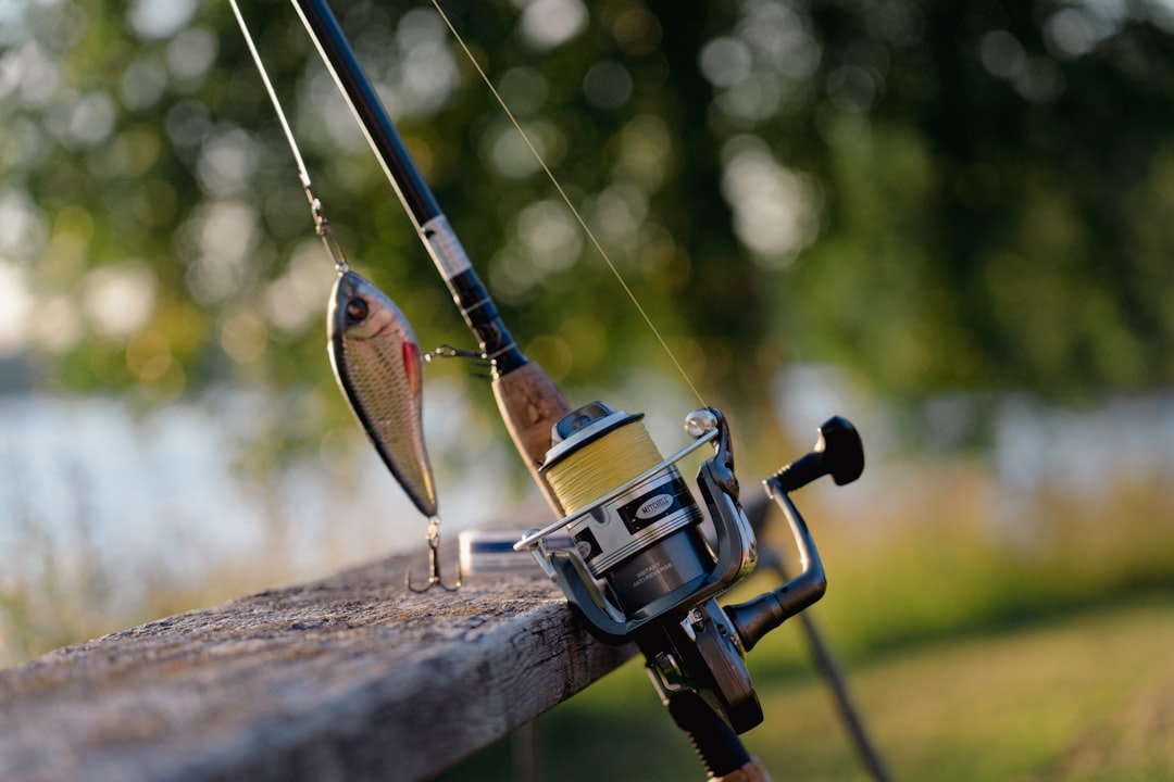 Photo Surface fishing with double hooks: practical tips