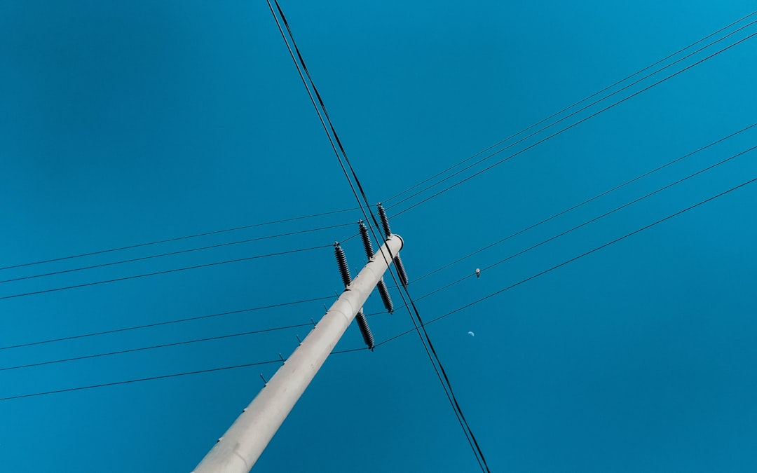 Photo fishing line tangles