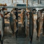 Fish-Finder Rig: Cómo engañar a doradas recelosas con el secreto del plomo corrido.