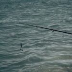 Drop Shot en Puerto: Técnica técnica para jureles y obladas desconfiadas.