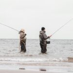 Pesca Mar: La belleza y la abundancia del océano.