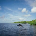 Nudo Yucatán: Pesca Sostenible en las Aguas del Caribe