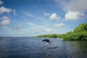 Nudo Yucatán: Pesca Sostenible en las Aguas del Caribe