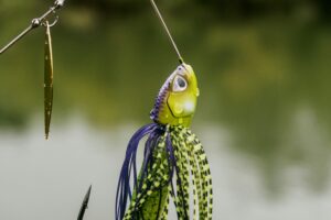 Señuelos luminosos para pesca nocturna: cómo cargarlos y cuándo usarlos