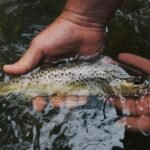Cómo pescar en aguas turbias