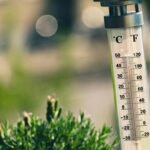 Temperatura del agua y zonas de actividad