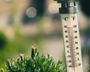 Temperatura del agua y zonas de actividad